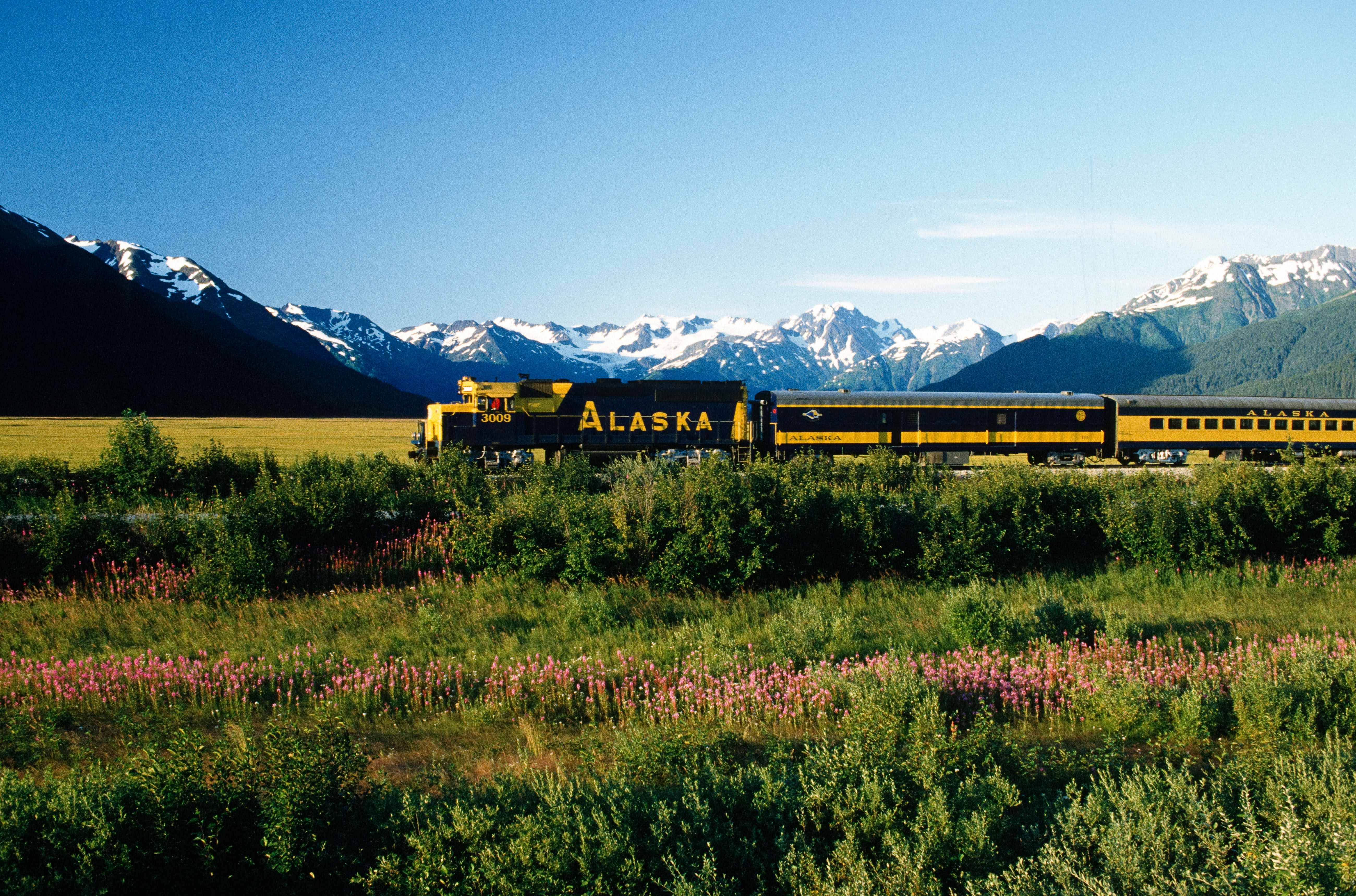 6 Unforgettable Alaska Train Tours to Take with Alaska Railroad