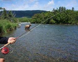 Gone Fishing! Discover Our Alaska Fishing Adventures