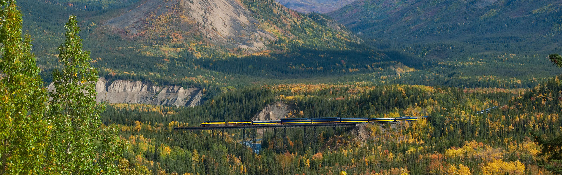 Alaska Train Tours | Best Alaska Rail Trips