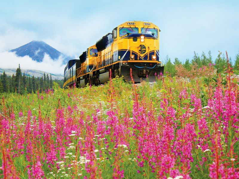 Ride the Alaska Railroad: Experience Wild Beauty, Day…