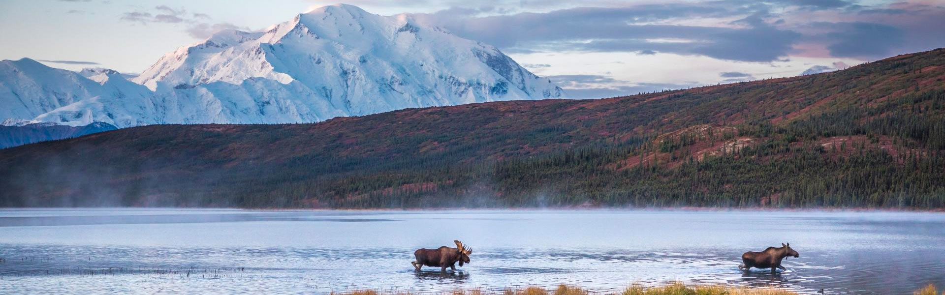 Denali Vacations, Day Tours, Trips & Alaska Train Tours