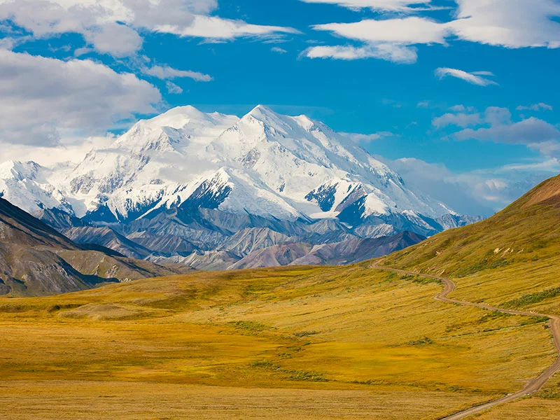 Alaska Highlights Self Driving Tour | Denali National Park