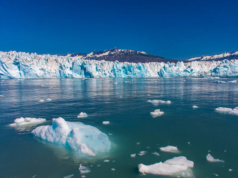 Alaska Highlights Self Driving Tour | Prince William Sound Cruise