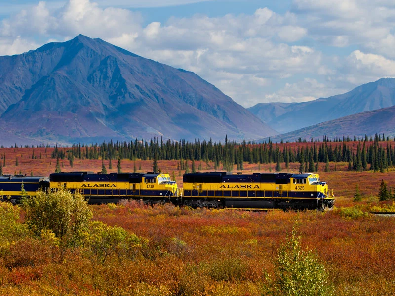 Denali Day Tour from Fairbanks