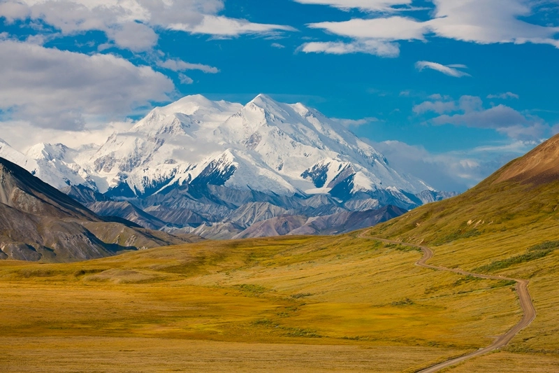 Alaska Land Tour with Arctic Circle Tour | Denali National Park