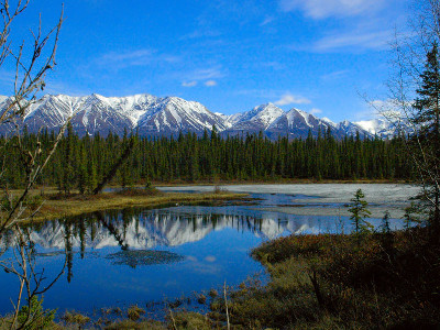 Alaska National Parks Self Drive Explorer