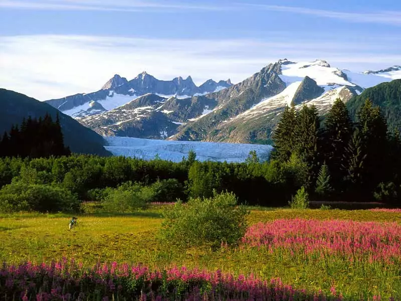  Alaska National Parks Self Drive Explorer | Worthington Glacier near Valdez