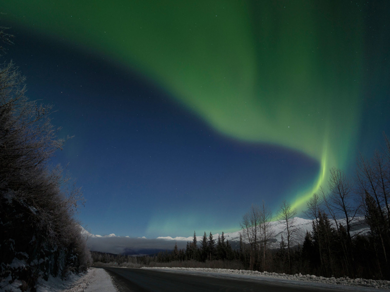 Alaska Northern Lights Tour | Anchorage to the Arctic