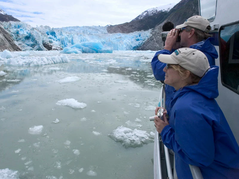 Toddyn Iceberg