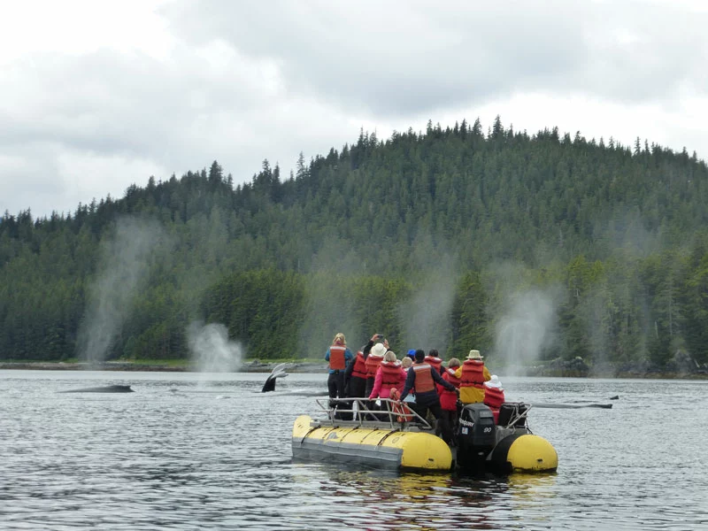 Small Ship Cruises Alaska | Northern Passage & Glacier Bay