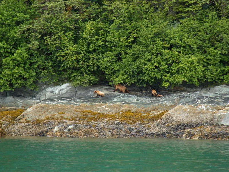 Small Ship Cruises Alaska | Northern Passage & Glacier Bay