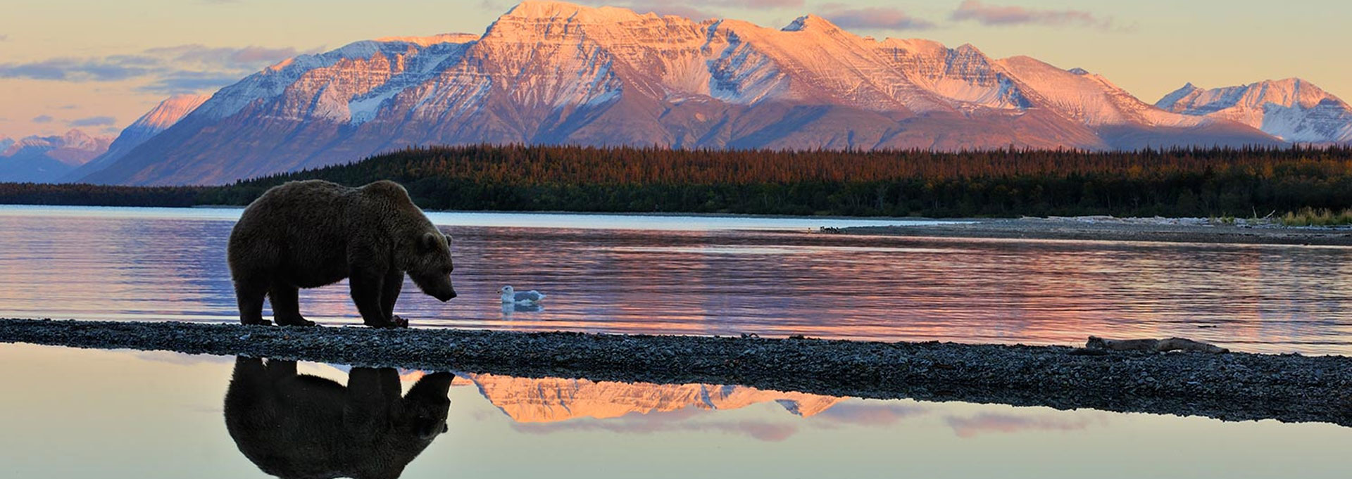 Southwest | Kodiak | Katmai National Park | Lake Clark  