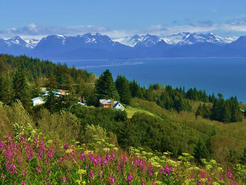 Alaska Self Drive Road Trip | Homer
