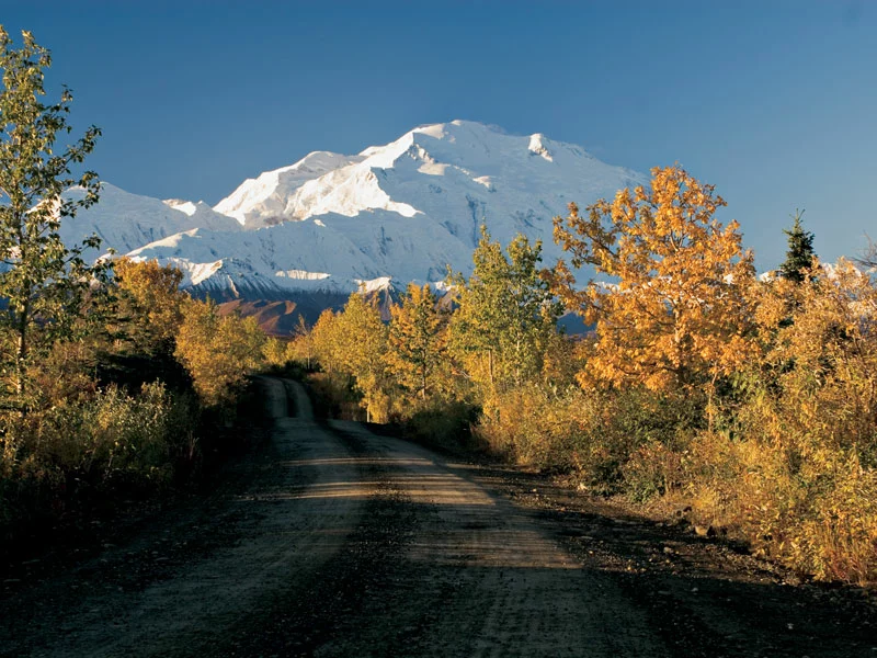 Alaska Self Drive Road Trip | Denali National Park