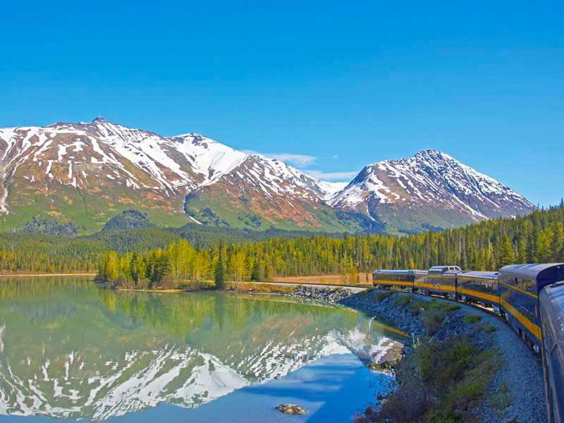 Anchorage Day Trips | Bears, Trains & Icebergs Tour