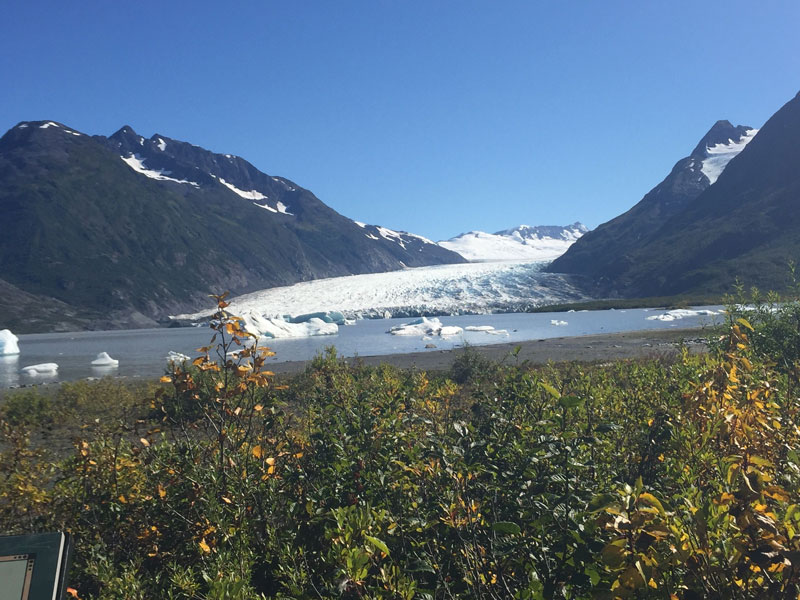 Anchorage Day Trips | Bears, Trains & Icebergs Tour