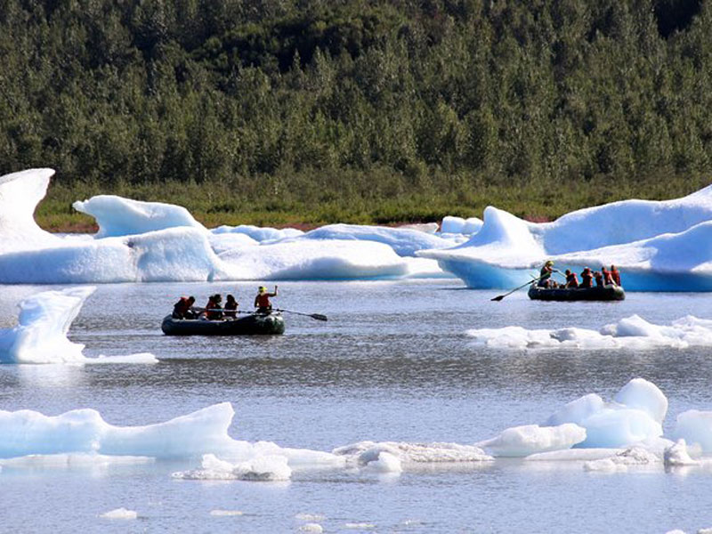 Anchorage Day Trips | Bears, Trains & Icebergs Tour