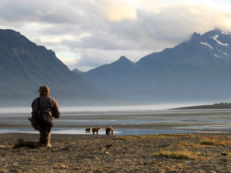 Anchorage Day Trip | Chinitna Bay Bear Viewing Flight Safari