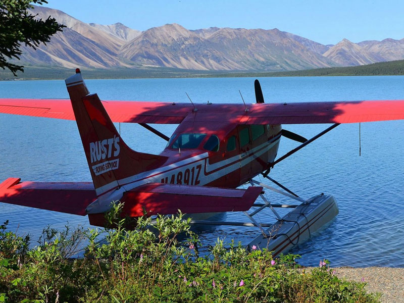 Anchorage Day Trips | Chinitna Bay Bear Viewing Flight Safari