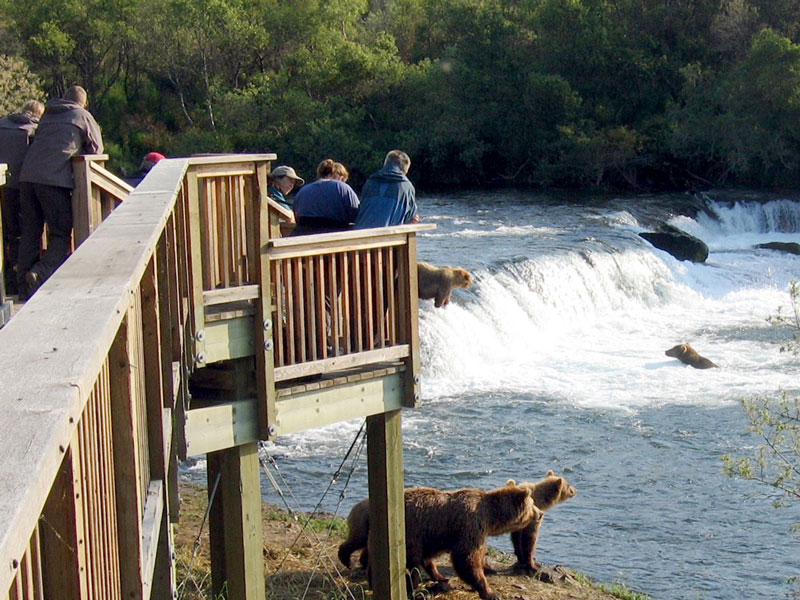 Anchorage Day Trips | Katmai National Park Bear Viewing Flight Safari