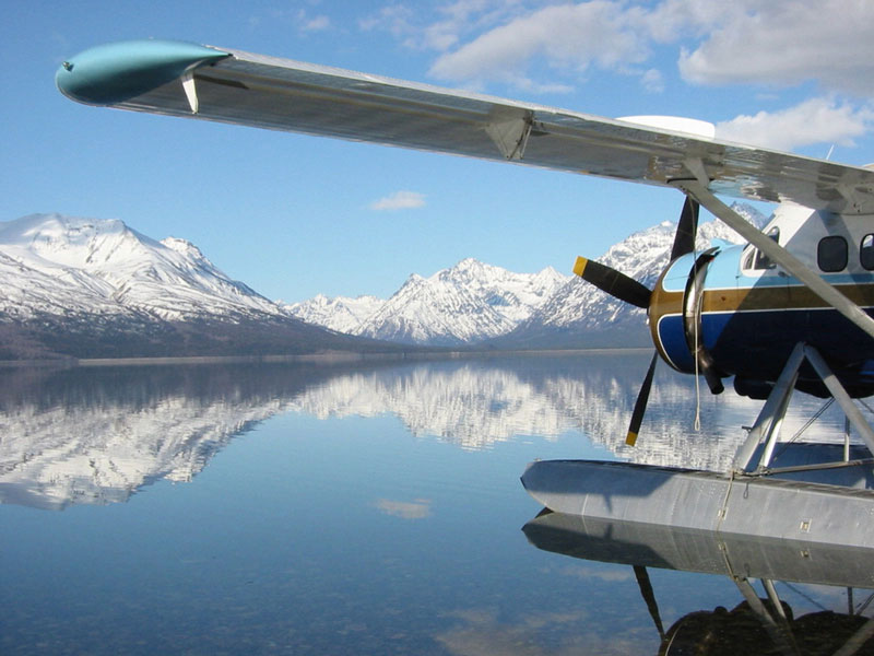 Anchorage Day Trips | Katmai National Park Bear Viewing Flight Safari