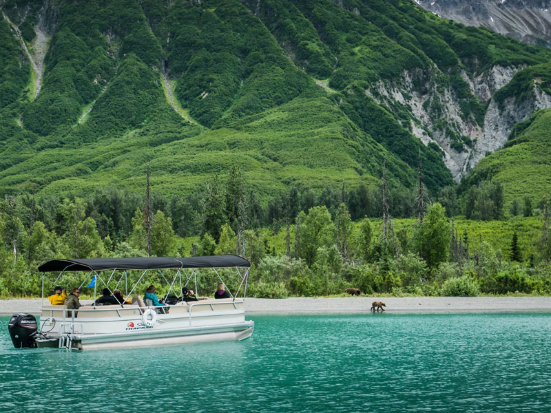 Anchorage Day Trips | Lake Clark National Park Bear Viewing 