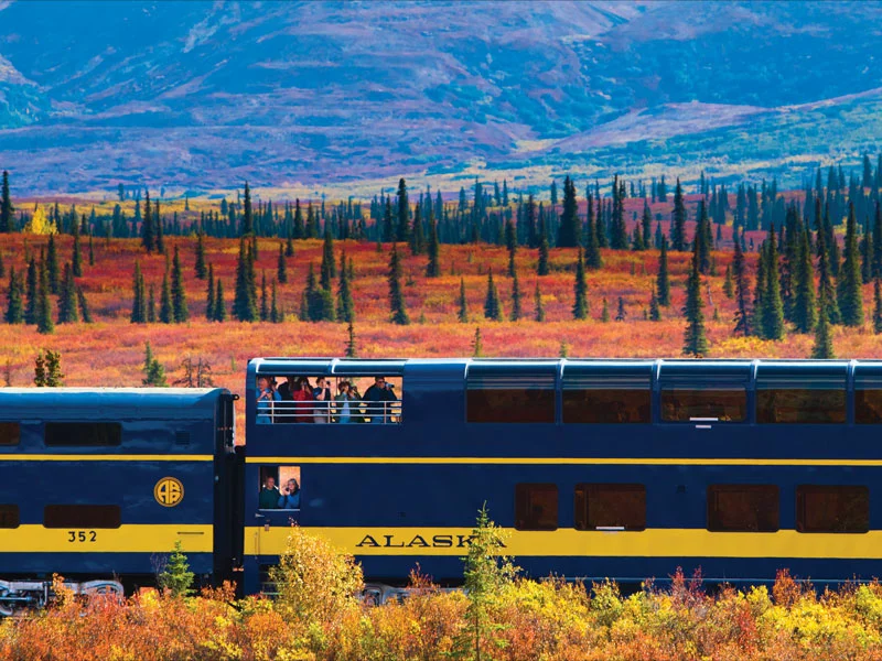 Denali Alaska Railroad Highlights | Alaska Railroad