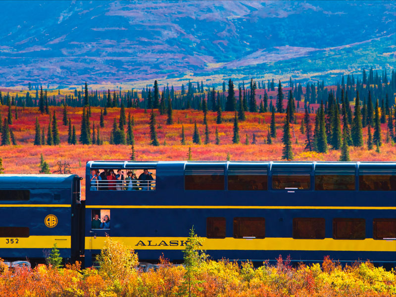 Denali Kenai Alaska Train Explorer Tour