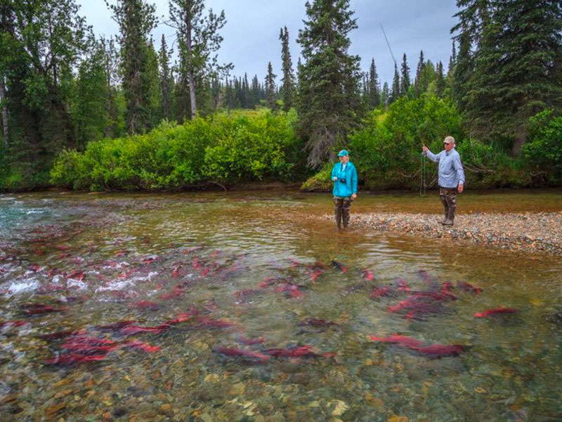 Alaska Day Excursions | Guided Fishing Adventure