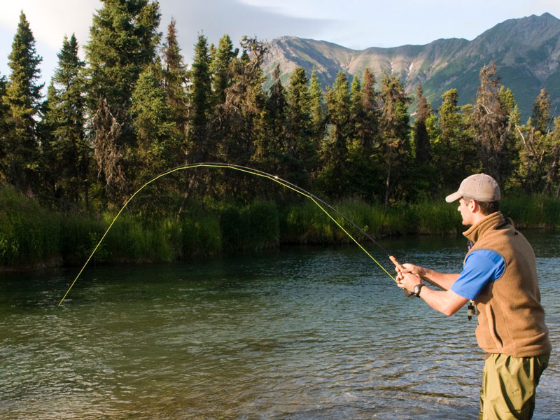 Alaska Day Excursions | Guided Fishing Adventure