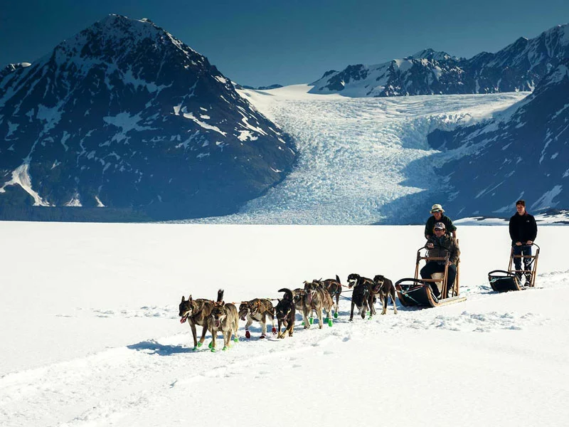 Alaska Rail Vacation | Heli Dog Sledding