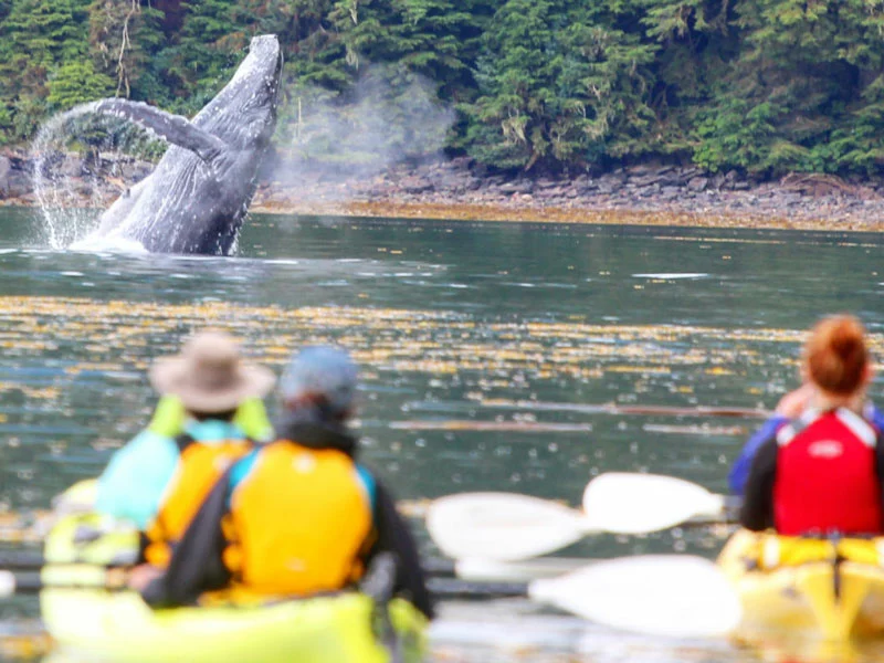 Small Ship Cruises Alaska | Alaska's Glacier Country