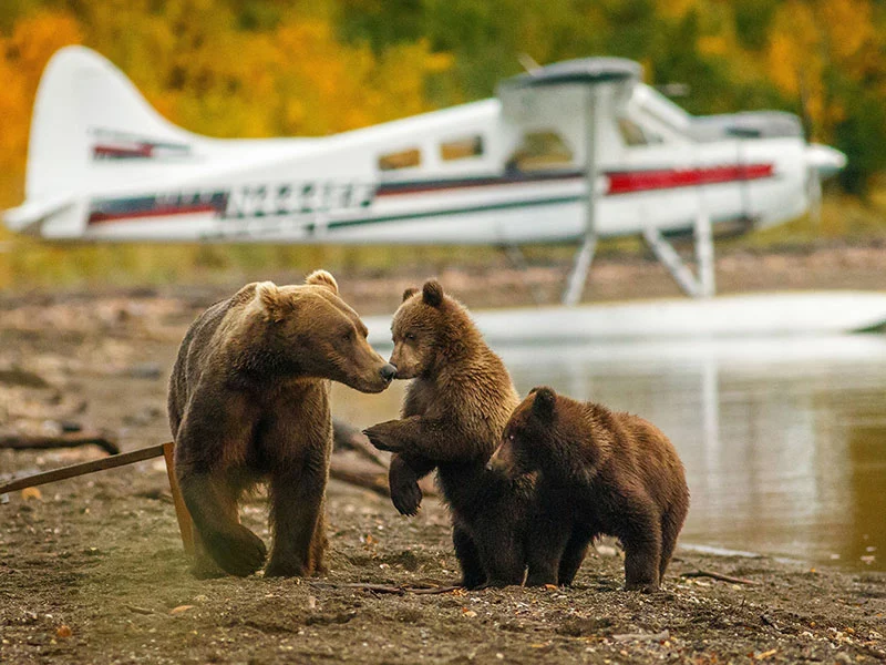 Alaska Luxury Wilderness Lodges | Stillpoint Lodge Kenai Peninsula