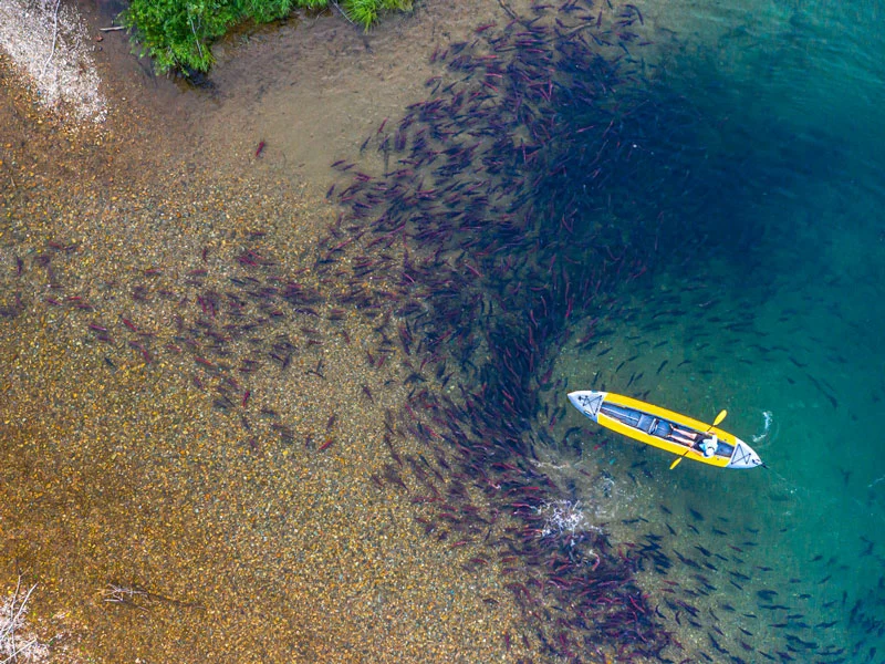 Alaska Fishing Trips | Tordrillo Heli-Fishing Retreat Package