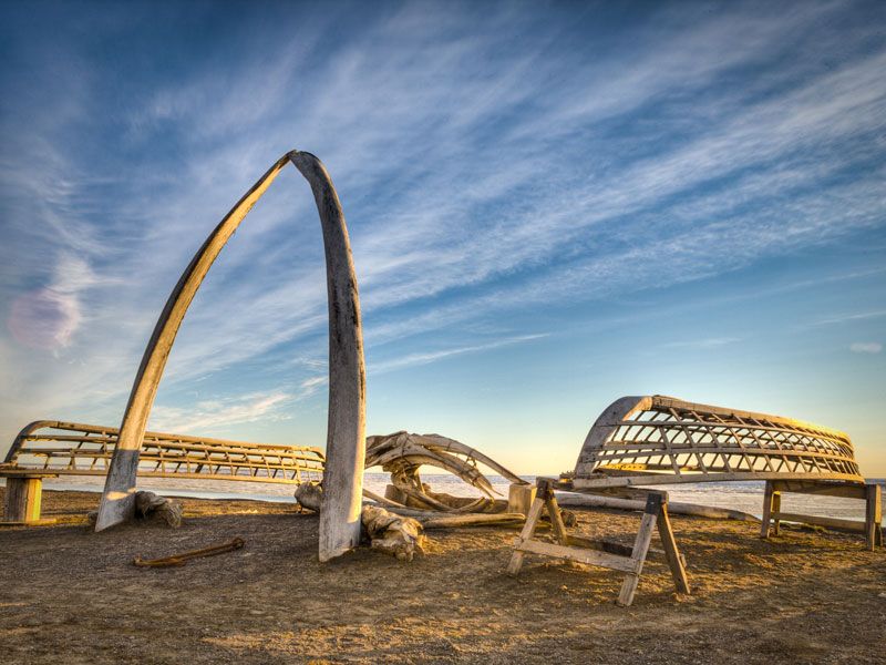 what to do in barrow alaska